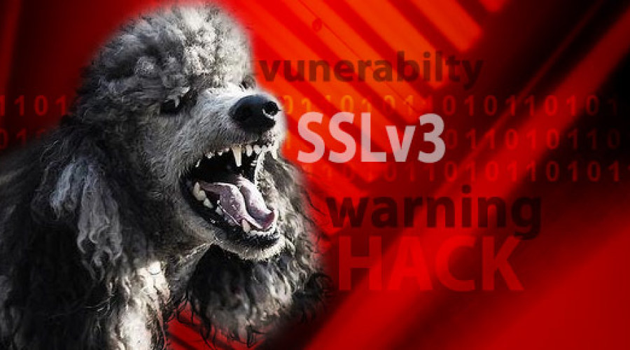 POODLE Returns – Credit Unions Exposed